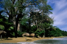 Archipel-des-Comores;-Baobab;-France;-Kaleidos;-Kaleidos-images;-La-parole-à-limage;-Laurent-Abad;-Mayotte;-Océan-Indien;-Palmiers;-Parasols;-Plage;-Sable-doré;-Stories-Pictures;-Tourisme;-Vagues